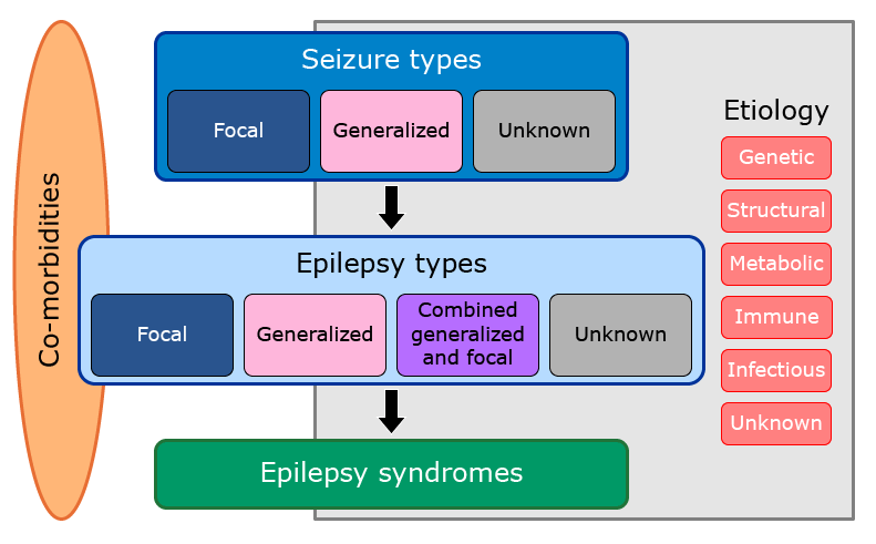 Tipos de epilepsia 
