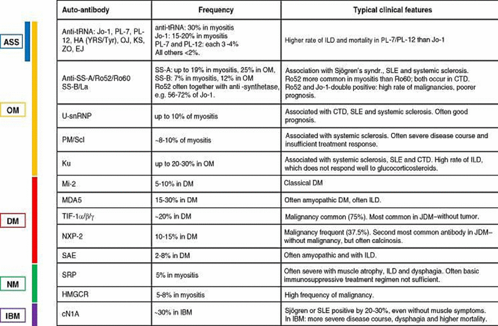 Anticuerpos en miopatías inflamatorias