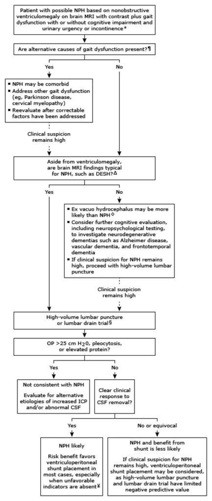 Approach to the evaluation of a patient with possible normal pressure hydrocephalus (NPH)
