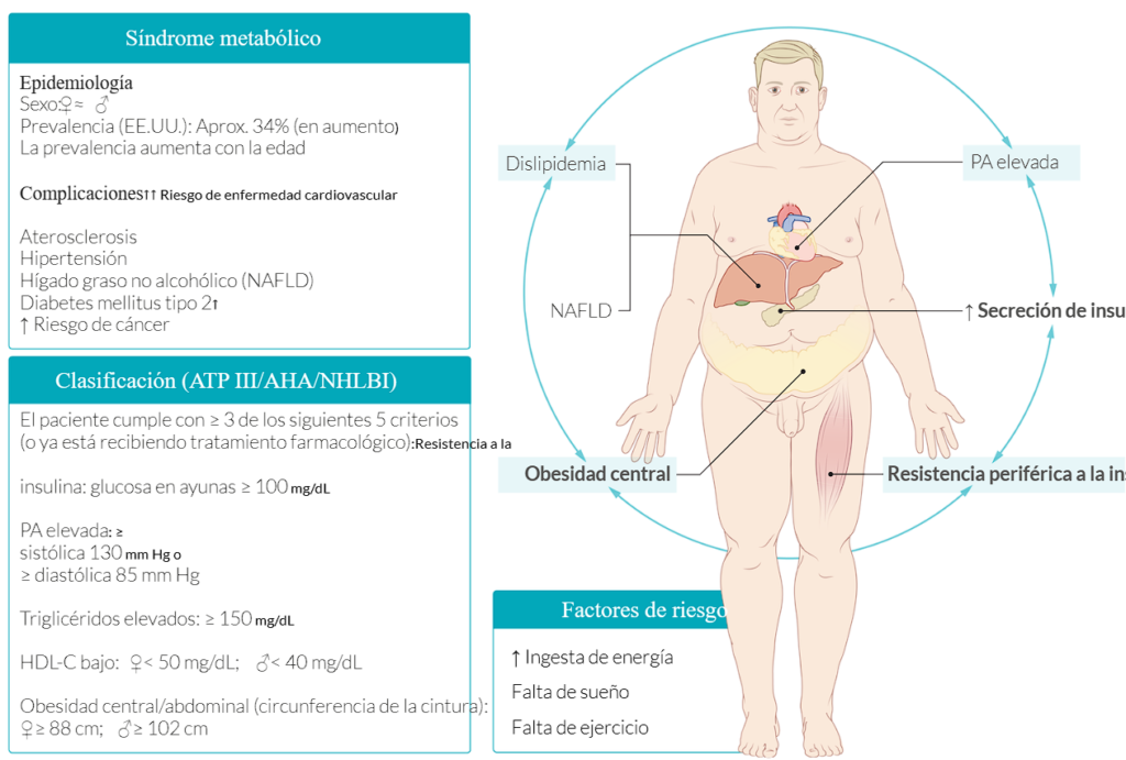 Obesidad y síndrome metabólico