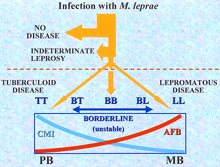 Clasificación de Lepra
