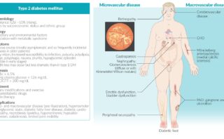 Obesidad y sobrepeso