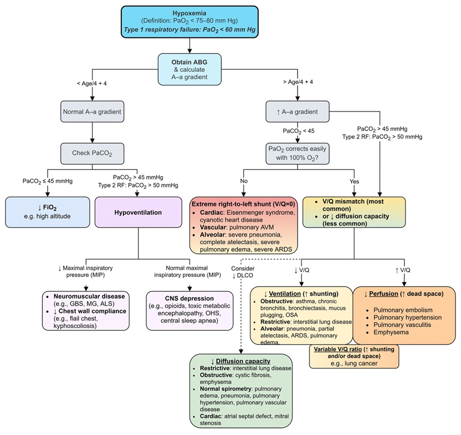 Diagrama de flujo para la evaluación de la hipoxemia en pacientes: se inicia con una gasometría arterial y se evalúan el gradiente alveolo-arterial de oxígeno y la respuesta a oxígeno al 100%. El flujo continúa a través de distintas categorías, como hipoventilación, shunt, desequilibrio V/Q y capacidad de difusión, proporcionando un enfoque estructurado para determinar la causa subyacente de la hipoxemia.