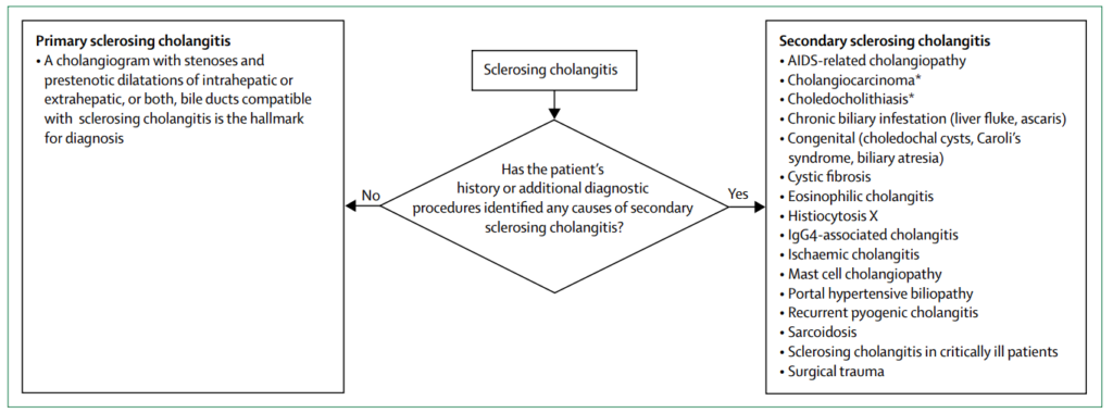 Diagnóstico diferencial colangitis esclerosante primaria 