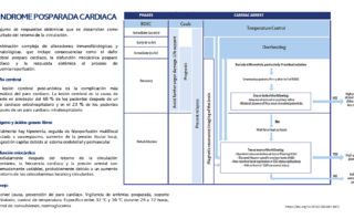 Infección aguda por VIH