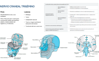 Síndrome hepatorrenal