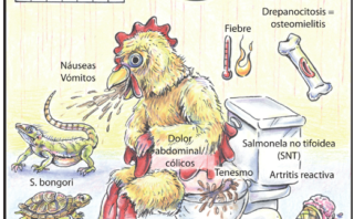 INFECCIÓN POR CÓLERA