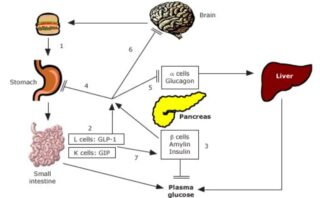 Inhibidores DPP-4