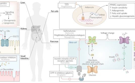 Fisiopatología del Dolor: Comprendiendo el Proceso