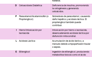 Virus del mono: Causas, síntomas y prevención