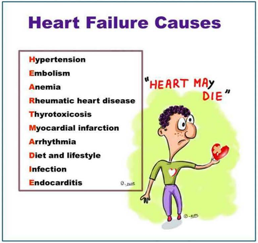 La imagen tiene el título "Heart Failure Causes" (Causas de Insuficiencia Cardíaca) en la parte superior. 