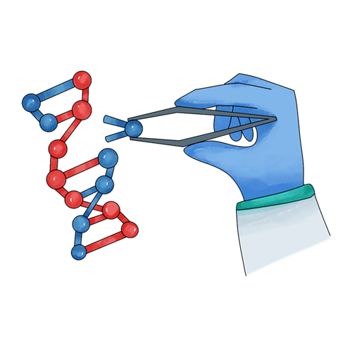 El precio de las pruebas genéticas para diagnosticar pancreatitis de origen genético puede variar según el laboratorio y la complejidad del estudio. Generalmente, los costos oscilan entre $5,000 y $15,000 pesos mexicanos. Es recomendable contactar directamente a los laboratorios para obtener información actualizada sobre precios y disponibilidad de las pruebas.