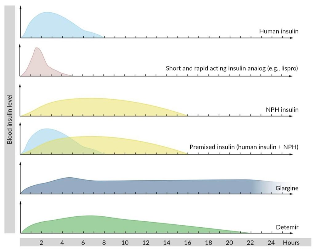 Curvas de nivel de insulina en sangre tras la administración de diferentes tipos de insulina. Se comparan la insulina humana, los análogos de insulina de acción rápida (ej. lispro), la insulina NPH, las insulinas premezcladas (insulina humana + NPH), y las insulinas de acción prolongada (glargina y detemir). Se observa la variabilidad en el inicio de acción, el pico de concentración y la duración del efecto en horas.