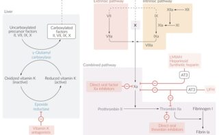 Caso clínico: THE-MANTLE en TCE grave