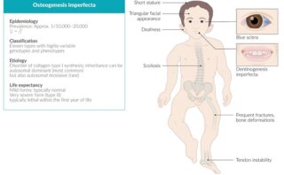 Ectoparasitosis: Diagnóstico y Manejo en la Práctica Clínica