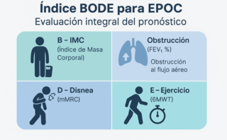 Prueba de Evaluación del EPOC (CAT)