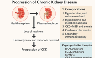Calidad del agua: importancia de estudiar su impacto en zonas con alta prevalencia de Enfermedad Renal Crónica