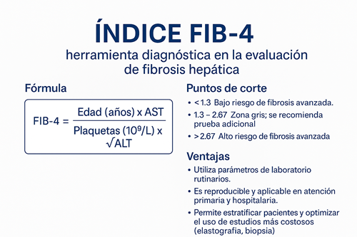 Índice FIB-4: herramienta diagnóstica no invasiva para la evaluación de fibrosis hepática, con fórmula, puntos de corte y ventajas clínicas.