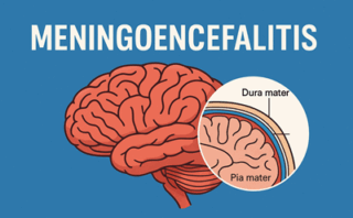 Violencia, corrupción y silencios incómodos: un retrato del México actual